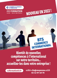 bts commerce international